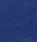 leather_blue-125 leather_blue-125