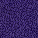 114_Promessa_Purple_125x125