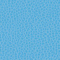 171_Promessa_CarolinaBlue_125x125
